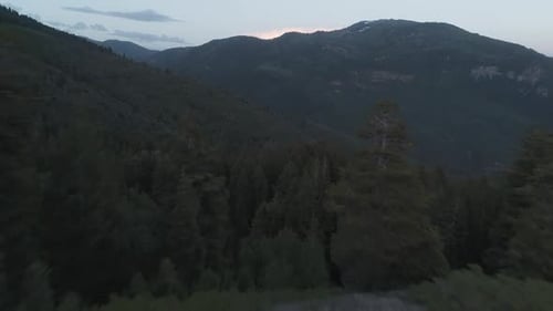 Flying through trees shot revealing vast mountain ranges in Utah.