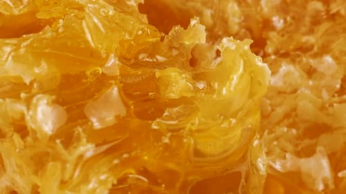 Auf einem weißen Teller drehen sich Wabenstücke mit goldenem Honig. Nahaufnahme von Wachszellen mit Bienenhonig
.