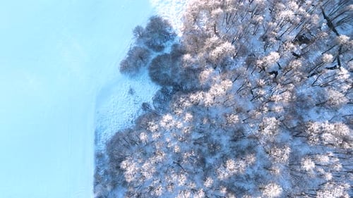 Aerial View of Snowy Forest Next to Frozen Lake