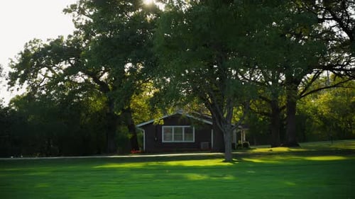 Morning Sun is Shining Brightly Through the Branches and Leaves of the Green Trees on the Beautiful