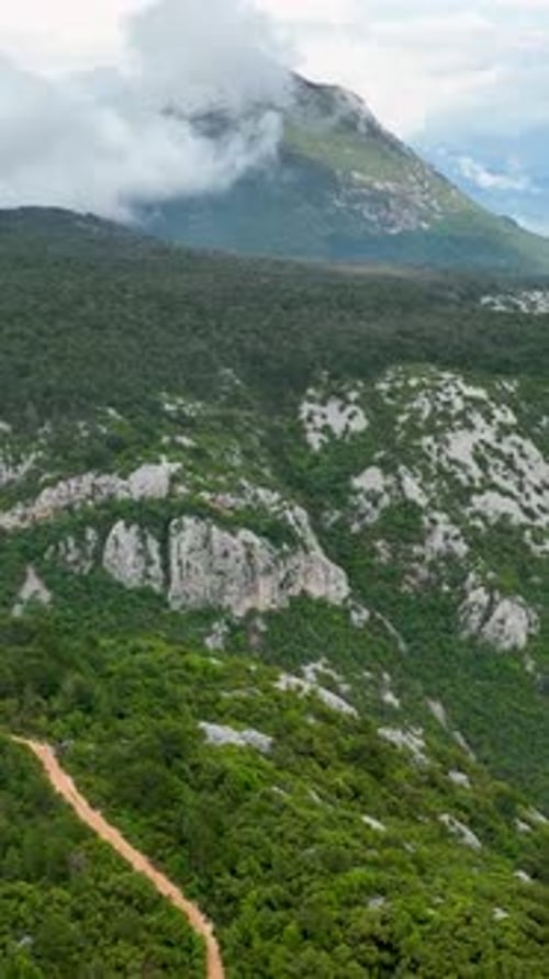 Vertical Video Aerial Journey Through Enchanted Forest Path Exploring Nature's AfterRain Wonderland
