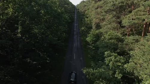 Eine Luftaufnahme eines einsamen Autos, das auf einer langen, geraden Straße fährt, flankiert von dichtem grünem Wald