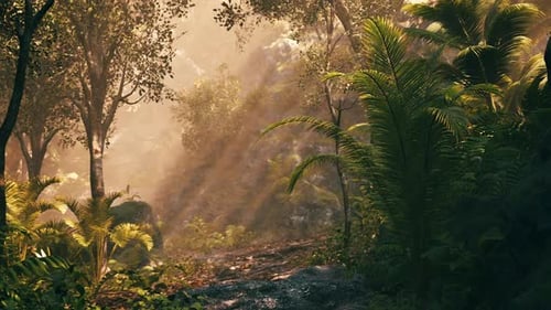Sunlight Filters Through Lush Greenery in a Tranquil Forest Setting