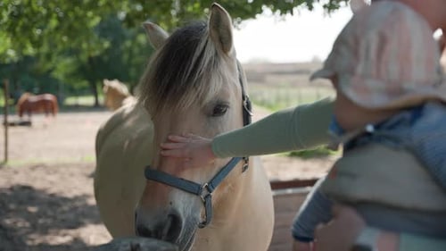 Young Child Interacting Gently with a Tan Horse