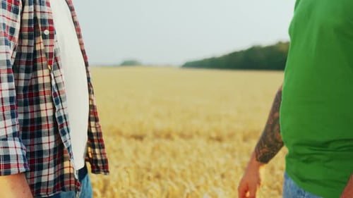 Farmer and Agronomist Shaking Hands After Agreement Standing in Ripe Wheat Field Landlord and