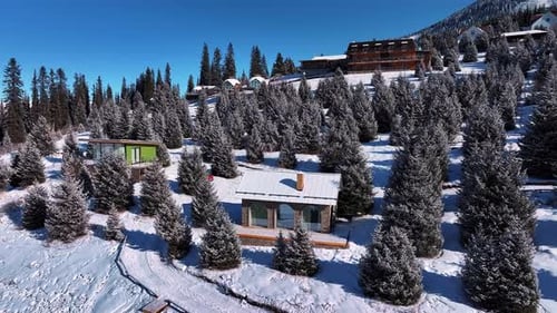 Snowy Mountain Houses Nestled Among Evergreen Trees in Winter