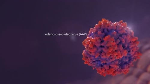 Modelo 3D vibrante de un virus adenoasociado para la investigación médica