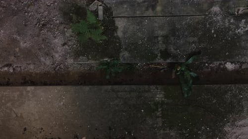 Cinematic aerial drone footage gliding through an abandoned factory interior. Slow and atmospheric