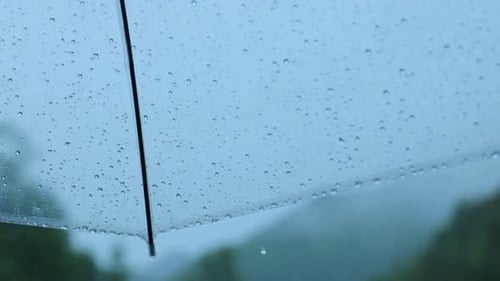 Umbrella in Rain, 4K Shot