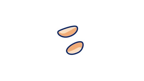 Braziliannut Animated Icon
