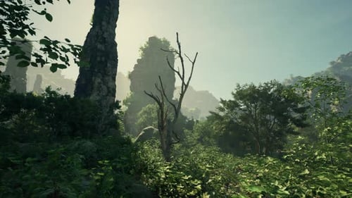 A Lush Green Forest Filled with Lots of Trees