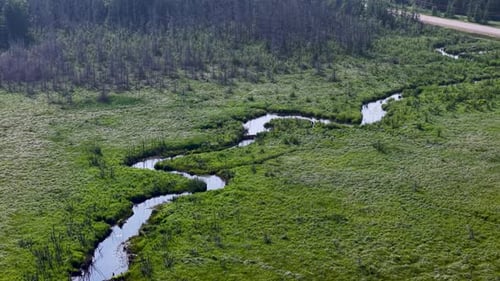 Aerial drone view of a winding river cutting through lush green wetlands and forest in Michigan’s