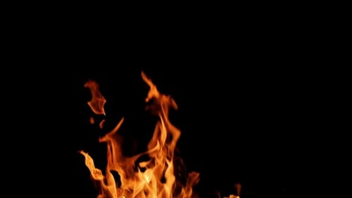 Fire isolated on the black background