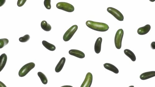 Falling Green Avocados Against White Background Loop Animation