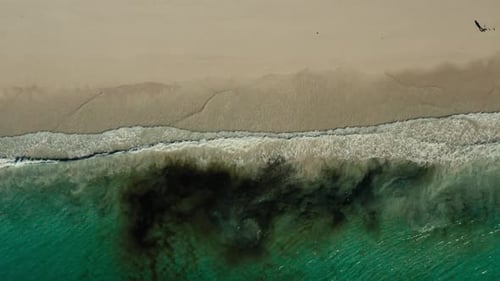 Waves on Beach