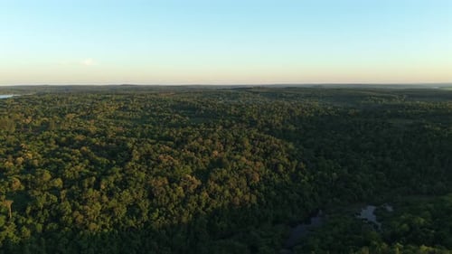 Vue aérienne en haute altitude de la vaste forêt et des étangs d'eau à Misiones l'après-midi
