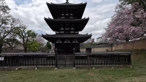 Kofuku-ji Sanjunoto Buddhist Temple (Three-Story Pagoda) In Nara, Japan. - POV, handheld shot