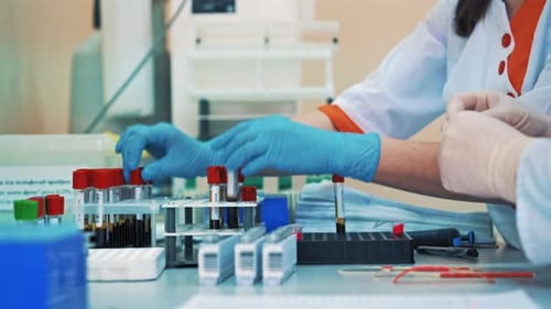 Medical Lab Technicians Working with Blood Samples