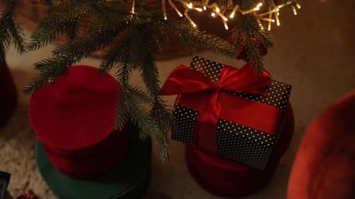 Christmas Gifts Underneath Decorated Tree Inside Home