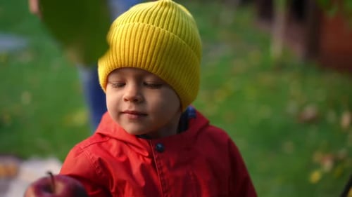 Positiver kleiner Junge pflückt Apfel vom Ast und untersucht gesunde Vitaminfrüchte in Zeitlupe