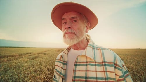 Elderly Farmer in Plaid Shirt Standing in Golden Wheat Field Looking at Camera in Background of