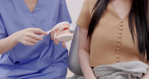 Dentist Explaining Braces and Dental Hygiene to Patient