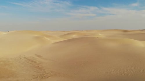 Wind Blows Sand In The Desert. Real Dry Desert