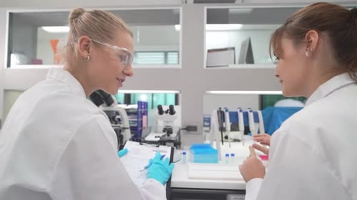 Women Scientists Review Data in Bright Modern Lab