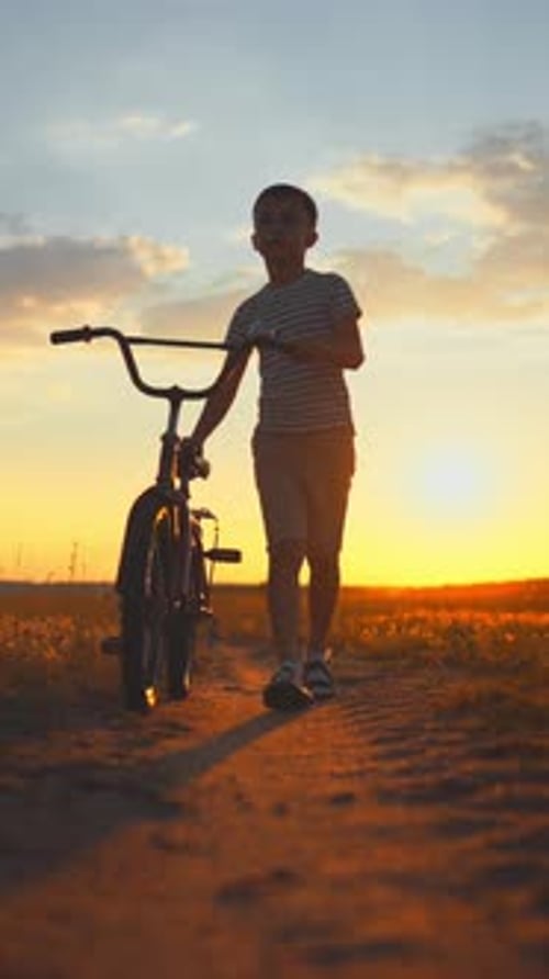 Cute Little Boy Rolling Bicycle Near When Walking in Beautiful Field in Summer Sunset or Sunrise