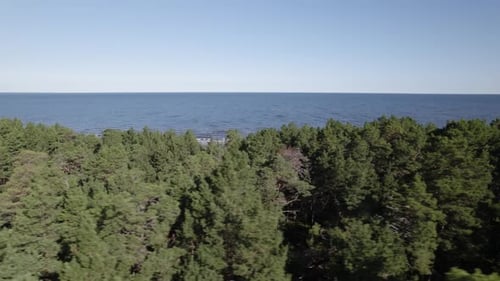 Parallax aerial of pine tree forest in front of vast ocean, Baltic sea