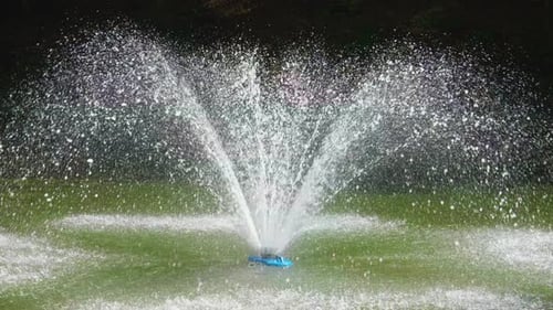 Blick auf einen Teich im Park mit einem Springbrunnen in der Mitte, der vom Sonnenlicht beleuchtet wird. Zeitlupe.