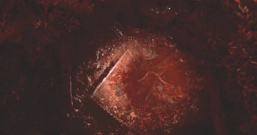Geheimnisvolle Spiegelung auf Wasser, umgeben von Laub in der Dämmerung