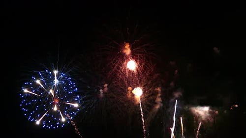 Hermosa celebración abstracta colorida exhibición de fuegos artificiales en el fondo nocturno