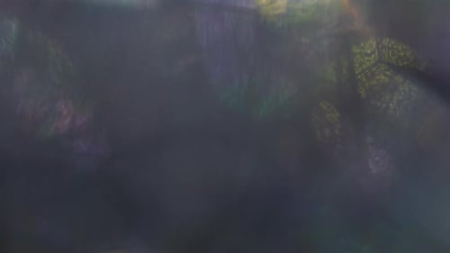 2K Light Leaks