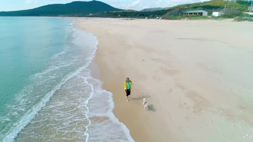 Aerial View of a Young Woman in Yellow Jacket Walking on Beach with Her Dog