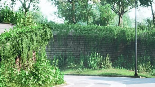 Foto da estrada que atravessa o meio da floresta