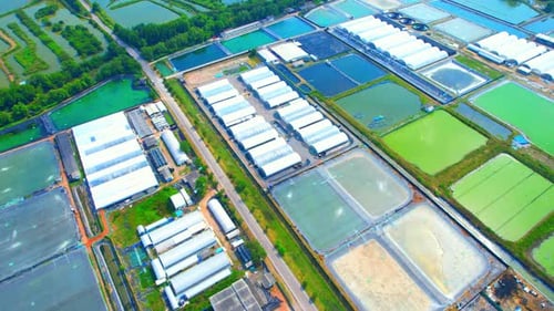 Drone is flying over sea aquaculture farm