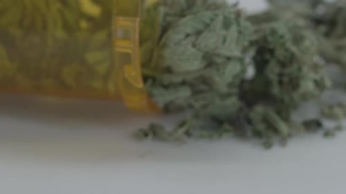 Diminua o zoom dos medicamentos prescritos (cannabis)
