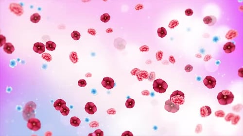 Colorful Blurred Particle With Flower Background Loop V2