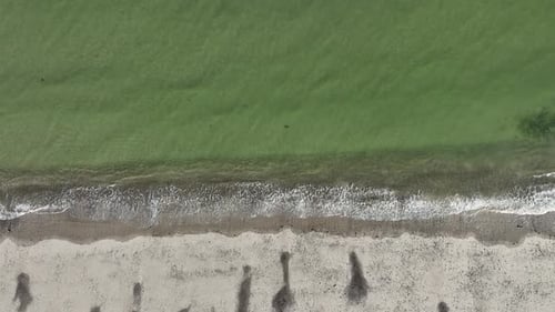 Moving aerial view of Sandy Neck Beach during afternoon in Cape Cod, USA. Empty beach.