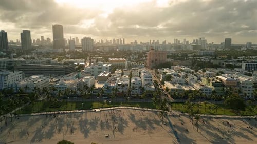Miami Beach with Palm Trees and City Skyline Drone