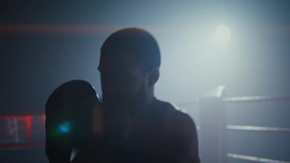 Trained Black Boxer with Gloves Attacks Competitor Fast on Ring, Sports ...