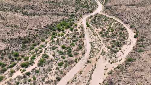 Aerial view of arid desert landscape and trails, United States.
