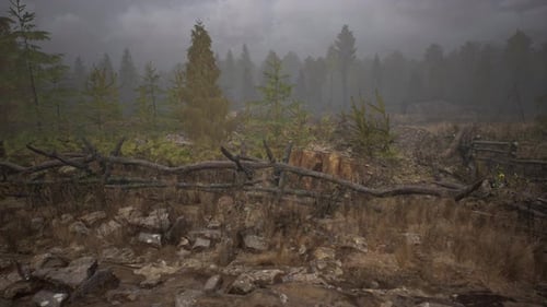An Old Wood Fence with a Country Field Behind It