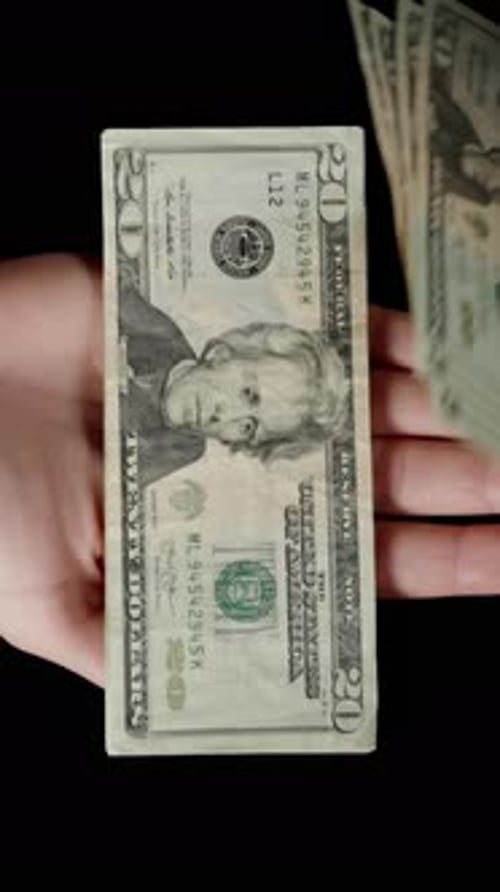 Vídeo vertical. Una pila de billetes de veinte dólares volando en el viento de las manos, logrando atrapar