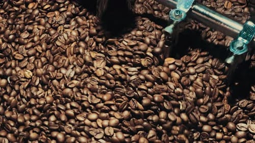 Roasted Coffee Beans Being Mixed by Machine