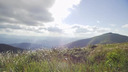 Berglandschaft Alpenwiesen Grüner Berg und Gras, Nahaufnahme