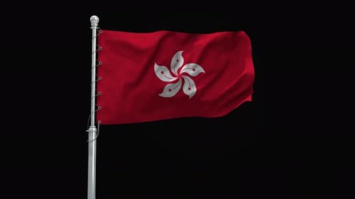 Hong Kong Flag Waving Realistic 3D Seamless Loop