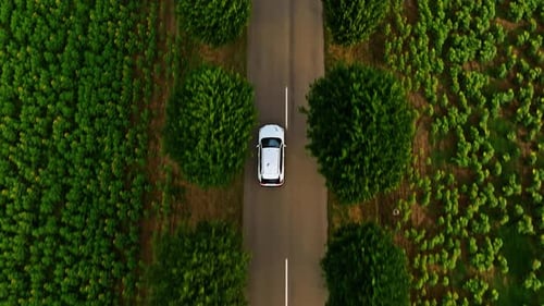 Aerial Top Down View of Asphalt Road with White Car