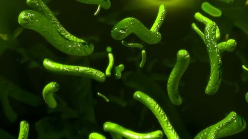Microscopic green virus cells floating around